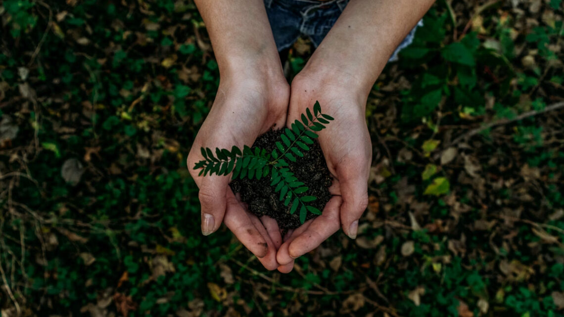 Découvrez les trois fondements essentiels du développement durable