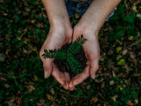 Découvrez les trois fondements essentiels du développement durable