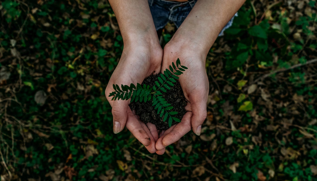 développement durable