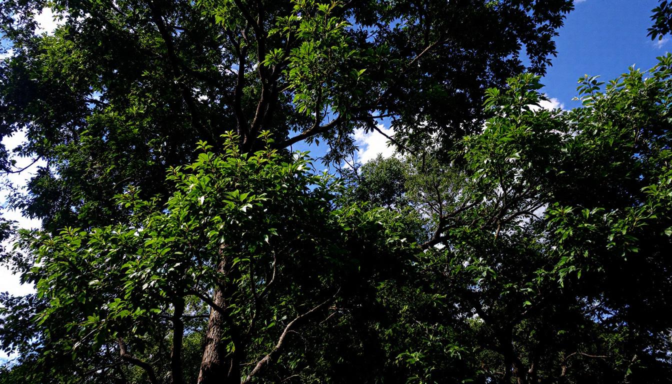 découvrez comment le bulletin de salaire dématérialisé facilite la gestion des ressources humaines en optimisant les processus, réduisant les coûts et améliorant la sécurité des données.